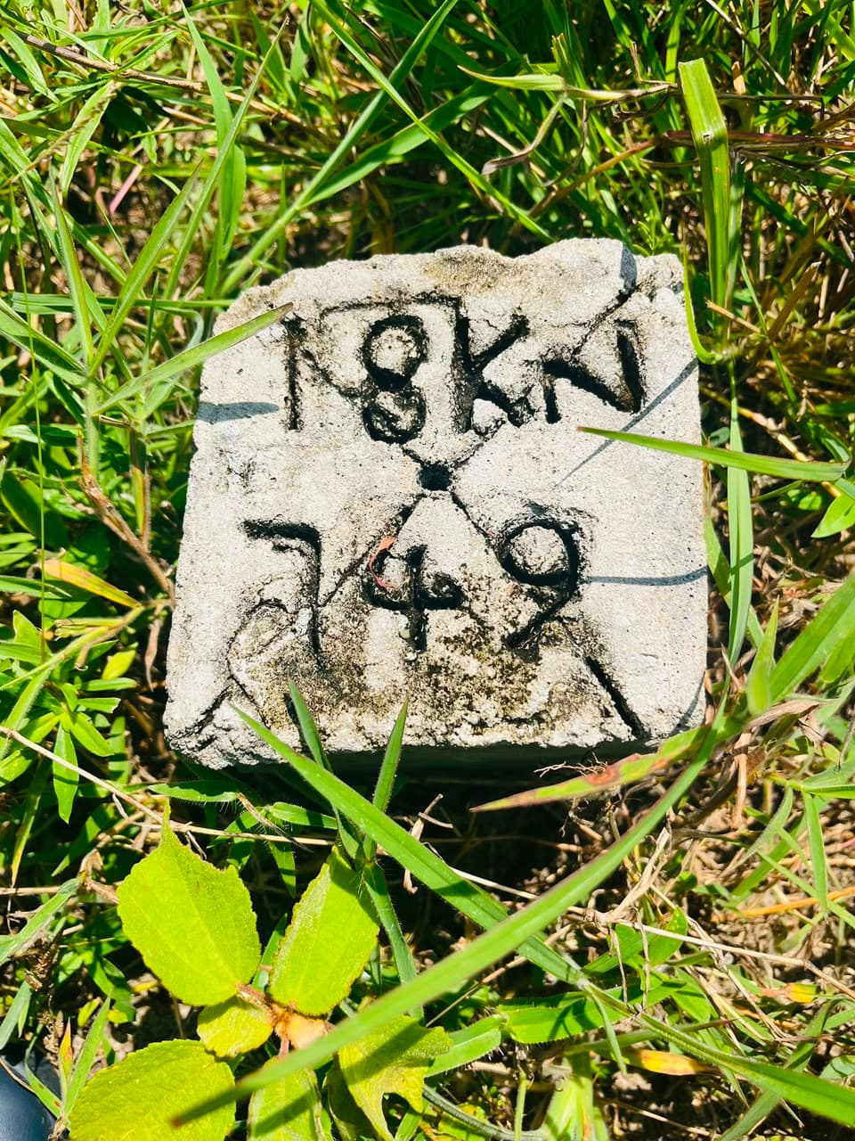 A marked survey beacon on AfriScape land