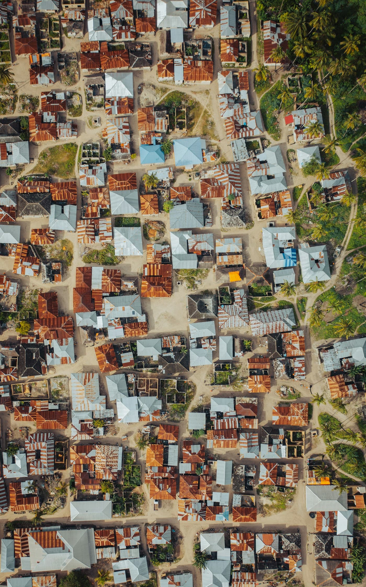 Aerial view of an established Zanzibar neighbourhood